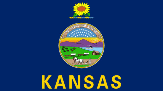 Kansas state flag. Vector illustration.